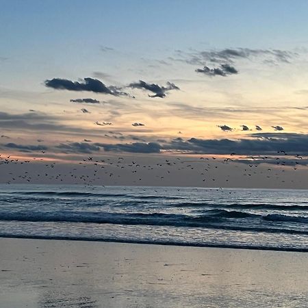 Chambre D Hote A La Plage De 15 M2 Le Manapany Camiers Dış mekan fotoğraf